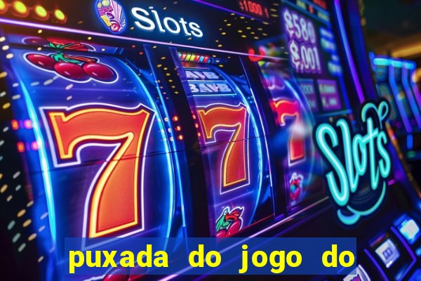 puxada do jogo do bicho da sueli